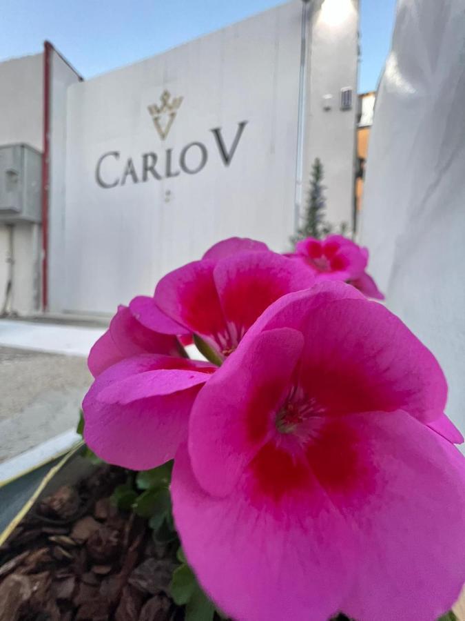 Carlo V - Holiday Rooms Porto Empedocle Kültér fotó